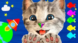 LITTLE KITTEN ADVENTURE CARTOON FUNNY VIDEO FOR TODDLERS - PET CARE GAME AND CUTE ANIMATED CAT