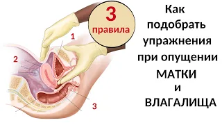 Как определить степень опущения влагалища и матки / Как подготовиться к тренировке