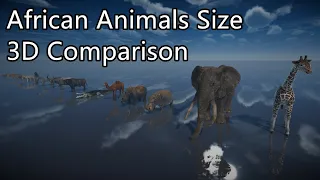 African Animals Size Comparison