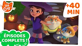 44 Chats | 40 MINUTES  | Marathon d‘Halloween 🎃👻🧛 | Épisodes complets | Friandises ou bêtises?