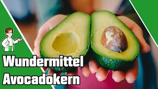 Wundermittel Avocado Kern:  Deshalb solltest du ihn NIEMALS wegschmeißen! 🥑