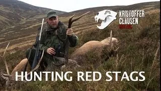 Hunting red stags in Scotland by Kristoffer Clausen, Awesome killscenes
