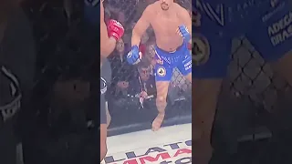 Michael Venom Page Brutal KO