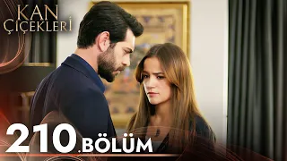 Kan Çiçekleri 210. Bölüm