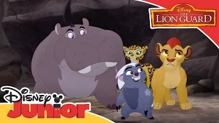 The Lion Guard - Ono Helps the Lion Guard | Official Disney Junior Africa