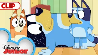 Bluey Season 3 Episode 25 "Ragdoll" Episode Clip | @disneyjunior | @BlueyOfficialChannel​