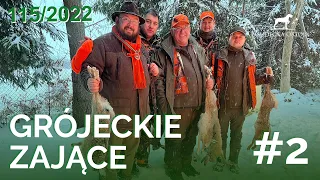 SUDECKA OSTOJA 115/2022 HARE HUNT in Poland | #2