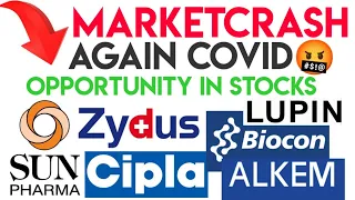 market correction | sun pharma share | zydus life share | cipla share | biocon share | nsecorrection