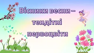 Тендітні первоцвіти | Загадки про квіти @videopresentazii