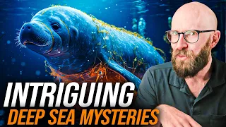 4 Mysteries of the World's Oceans