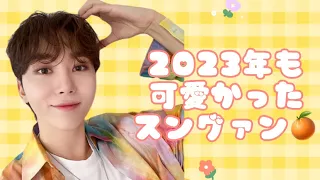 2023年も可愛かったスングァン🧡🧸🍊🧡#seventeen #seungkwan #セブンティーン #スングァン #goingseventeen #세븐틴 #carat