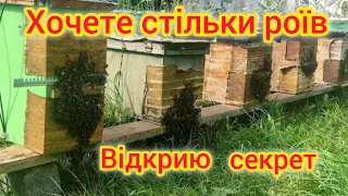 Якщо зробити так, то бродячій рій ВАШ.