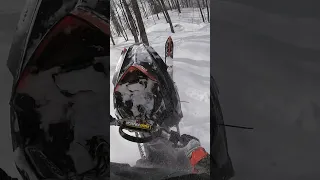 Tree wheelies  pro rmk 800 #polaris #rmk #upperpeninsula #sendit #treetap #thrill