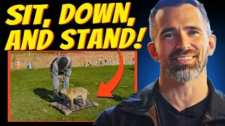 How to Teach Your Dog Sit, Down, and Stand with Ease!