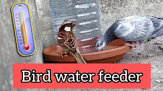 Birds Water Feeder for Summer 🌞🌞🌞.