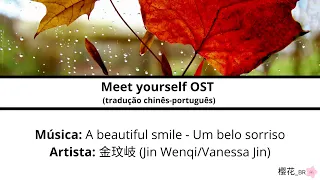 A beautiful smile - 金玟岐/Jin Wenqi | C-drama: Meet yourself/去有风的地方 | OST lyrics [CHN/PINYIN/PT-BR]