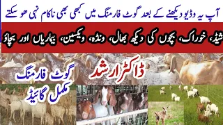 Goat Farming Business in Pakistan | Goat Farming with Doctor ARSHAD | How to Start Goat Farming