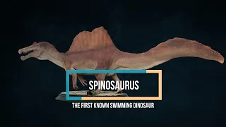 SPINOSAURUS  | a swimming dinosaur