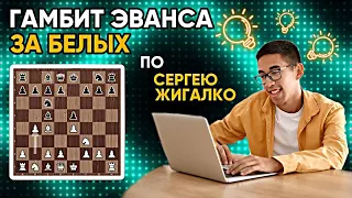 Гамбит Эванса за белых по Сергею Жигалко!  Более чем корректный для любого уровня!