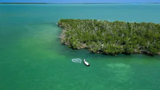 Snook Wishin' | Live Bait | Back Country Fishing