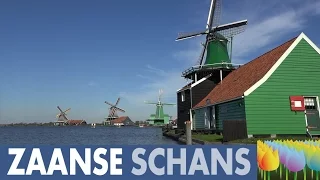The remarkable windmills at Zaanse Schans - Holland Holiday