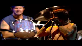 Red Hot Chili Peppers - Californication - Live at Slane Castle [HD]
