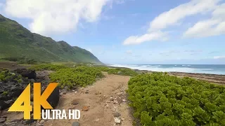 4K Virtual Walk with Ocean Views & Nature Sounds | Kaena Point Trail, Oahu, Hawaii - 1 Hour