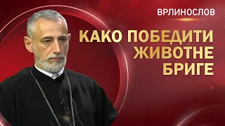 Врлинослов - Како победити животне бриге, протојереј-ставрофор проф. др Владимир Ступар