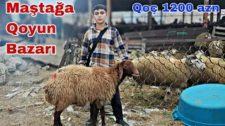Maştağa Qoyun Bazarı 29.10.23 #qoyunbazari #mastagaqoyunbazari