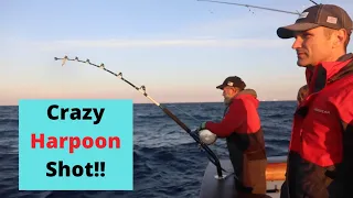 How to Catch, Dress, & Sell Bluefin Tuna at the Market! (+Harpoon Shot & Wicked Tuna Spoiler!)