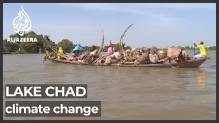 Millions brace for catastrophic effects as Lake Chad shrinks