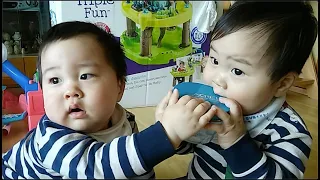 10개월된 #쌍둥이 #배틀 #성장일기 10 months old twins battle of life