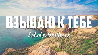 SokolovBrothers - ВЗЫВАЮ К ТЕБЕ | караоке | Lyrics