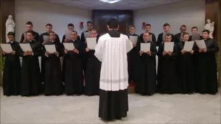 Veni Sancte Spiritus - Coral do Seminário maria Mater Ecclesiae do Brasil