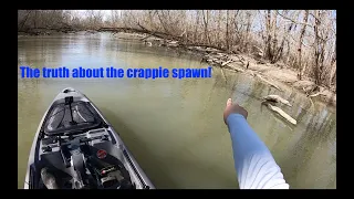 This is where crappie spawn!! The truth about the spawn that no one will admit!