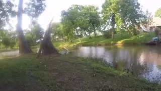 GoPro POV Bass Fishing #1 - Small bass by fallen tree