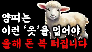 양띠 부자 됩니다 양띠는 이런 옷을 자주 입어야 큰 돈이 들어옵니다 재물운이 상승합니다 2024년 갑진년 대박나는 양띠운세 55년생 67년생 79년생 91년생 03년생 양띠 운세