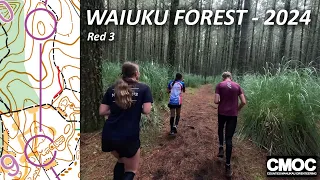 Waiuku Forest - 2024