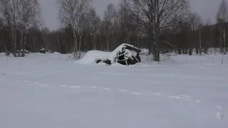 Забытый пос. Ораловский. Бобры. Скалы.