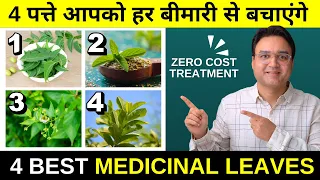 ये 4 पत्ते आपको सैकड़ो बीमारियों से बचाएंगे | 4 Medicinal Leaves For Good health