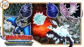 Alle Sammlungen & der Vergleich der Event-Drachen - Dragons Aufstieg von Berk [HD+] #1173