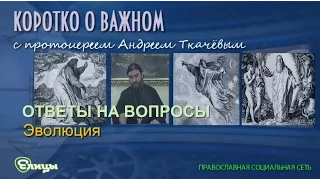 Эволюция. Протоиерей Андрей Ткачев