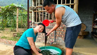 Give more love to his wife: Ly harvests a type of sour leaf that can be used to make hair shampoo