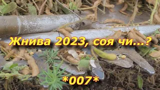 Соя  жнива 2023