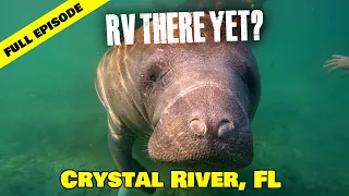 Crystal River Florida | Swim With Manatees | Full Episode