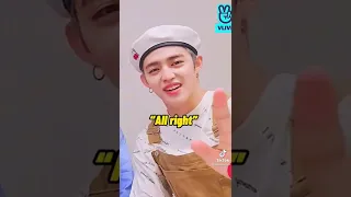 seventeen tiktok that will make you human