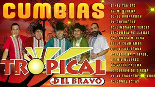 🌴TROPICAL DEL BRAVO CUMBIAS TROPICALES PARA BAILAR MIX 20 EXITOS 🌴#MUSICATROPICALES