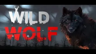 'The Jungle Wolf' New Action Full Movie    Latest Action 2020