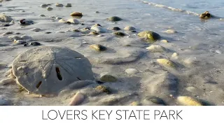 Guided beach walk. Lovers Key State Park, Florida.