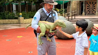 How to train a dinosaur!